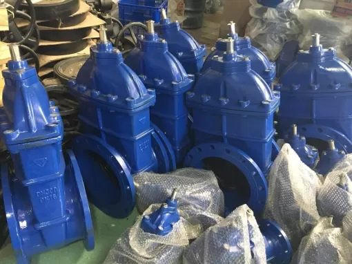 Van cổng ty chìm DN500 LYE Malaysia