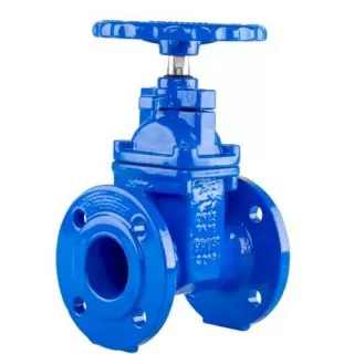 Van cổng ty chìm DN100 LYE Malaysia